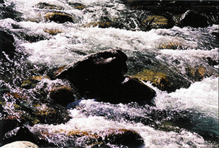Yolo River, Sierras