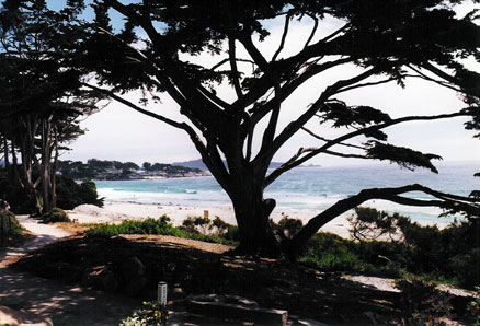 Beach at Carmel