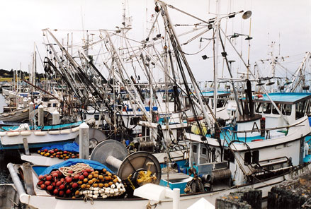 Harbor at Tarpon Springs